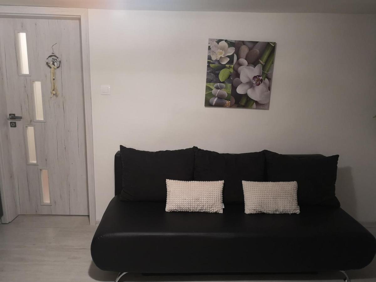 Family Apartments Mýto pod Ďumbierom Extérieur photo